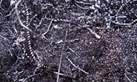 SUS316切粉